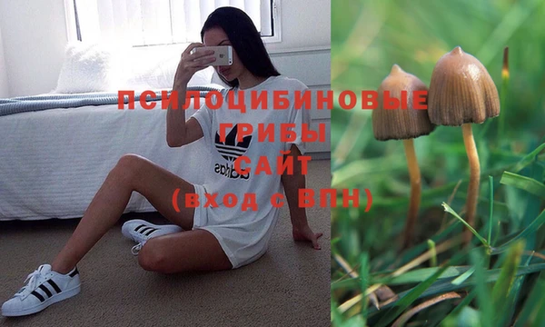 2c-b Абаза