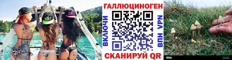 Галлюциногенные грибы ЛСД  OMG сайт  Никольск  цена  